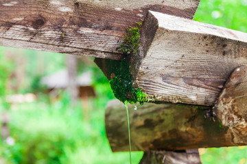 A clean stream of water flowing from the junction between a wooden drain on a background of green leaves with moss in the middle. Leakage of information and resources.