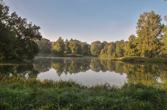 Beautiful morning summer landscape. Green trees and plants by the pond in the park.
