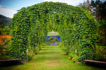 Large semicircular arches of green plants with leaves standing in a row in the form of a road or path in a flowering garden. Wedding and designer jewelry.