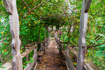 A wooden bridge in the form of a tunnel surrounded by green trees and plants with yellow leaves on a summer or autumn day. Way to destination, achieving goals.