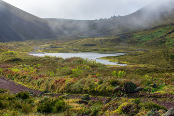 Fototapeta na wymiar Typical landscape of the Sete Cidades area, Azores