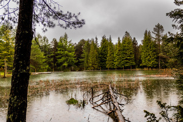 rainy day in the Opacua forest in Alvava