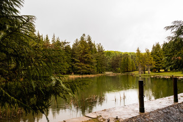 rainy day in the Opacua forest in Alvava