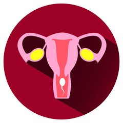 Uterus and sperm. Fertilization concept. Vector icon isolated on white.