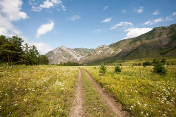 field road in the Katun river valley, Chemal district, Altai Republic, month of August