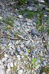 stones on the banks of the Katun River, Chemal district, Altai Republic, month of August