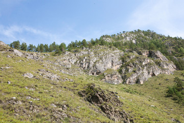 Fototapeta na wymiar Limestone slope of the mountain in the tract Chechkysh, Chemal district, Altai Republic, month of August