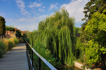 the city of Colmar in Alsace France