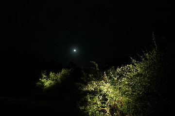 Naklejka premium 偕楽園 月見の会