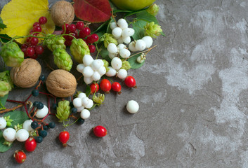 Autumn background with yellow and red leaves, wild berries, nuts. Layout for seasonal offers and holiday cards, top view. Copy space.