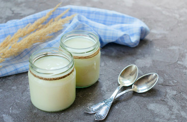 Greek yogurt in glass jars with spoons on a gray textural background.