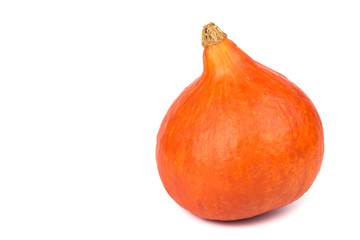 Nice ripe pumpkin isolated over white background