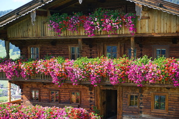 Fototapeta na wymiar Blumenpracht an Alpbacher Bauernhaus, Erbhof in Alpbach, Tirol, Österreich