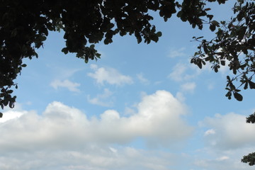 blue sky with white clouds