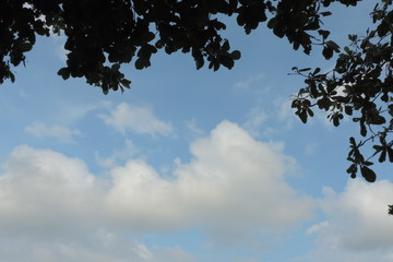 blue sky and clouds