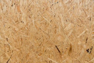 Texture. Compressed pine wood shavings