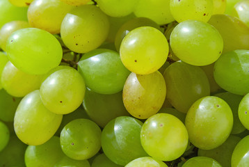 Plakat Juicy grape of green color close up