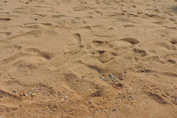 footprints in the sand