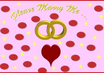 Wedding Rings with the words Please Merry Me