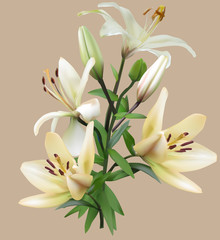 golden lily with four blooms isolated on light brown
