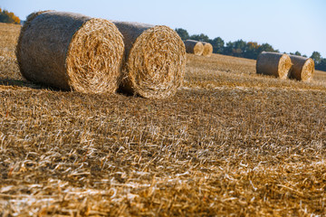 Hay bail harvesting in wonderful autumn farmers field landscape with hay stacks