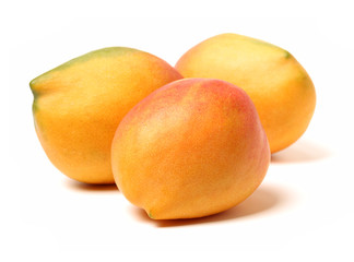 Mango on white background