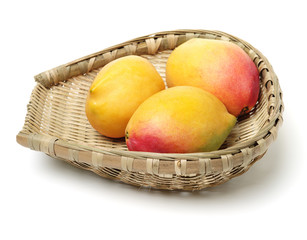 Mango on white background