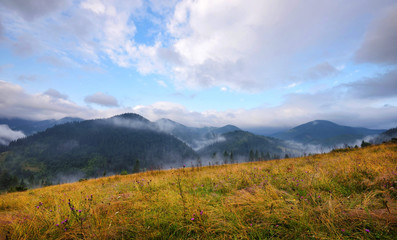 Fototapeta premium Amazing mountain landscape with fog and colorful herbs. Authumn morning after rain. Carpathian, Ukraine, Europe