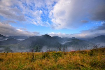 Amazing mountain landscape with fog and colorful herbs. Authumn morning after rain. Carpathian, Ukraine, Europe