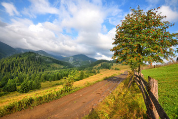 Amazing mountain landscape with fog and with a dirt road. Sunny morning after rain. Carpathian, Ukraine, Europe