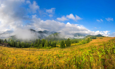 Amazing mountain landscape with fog and colorful herbs. Sunny morning. Carpathian, Ukraine, Europe