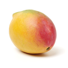 Mango on white background