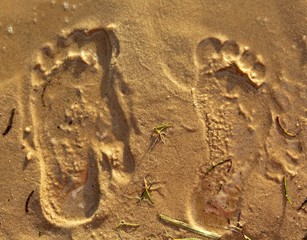 Fototapeta na wymiar foot marks in the sand