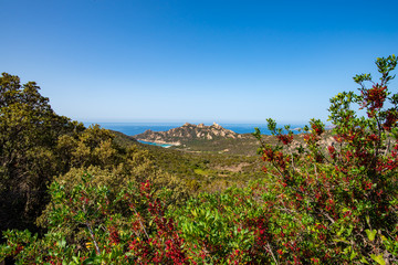 View on Roccapina from main road, Corsica, France