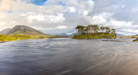 Pine Island in Derryclare Lough in the Connemara National Park,  Ireland