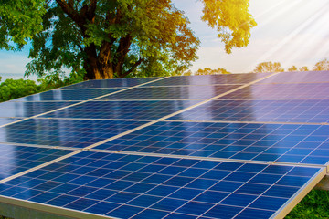 Solar panels against the sunshine, Bright Sunny Day, Solar Farm in rural, Eco-environmentally friendly green energy of sustainable development, Alternative power energy concept.