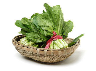 Chinese cabbage
