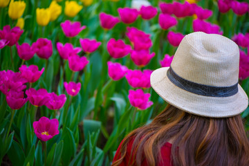 Back side of woman wearing a brown hat and a red shirt with Tulip garden background, Pink and yellow tulips in the morning.