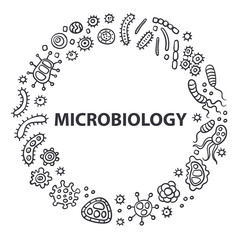 Microbiology logo. Bacterial microorganism outline. Doodle style. Illustration of different germs, primitive organisms, micro-organisms, disease-causing objects, cell cancer, bacteria, viruses.