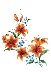 Watercolor with blooming orange lilies and blue forget-me-not flowers. Can be used as romantic background for wedding invitations, greeting postcards, prints, textile design, packaging design.