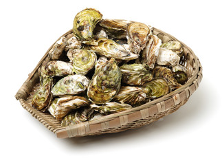Open oysters studio on white background