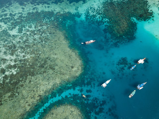 Healthy coral reef in Komodo national park