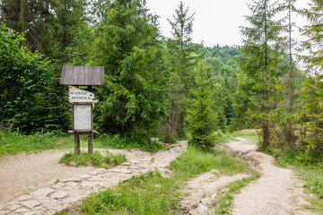Entrance to Homole Gorge, Poland