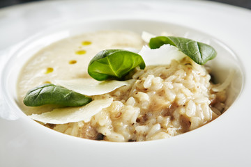 White Restaurant Plate of Risotto with Cep Mushroom Stew, Parmesan Cheese and Greens