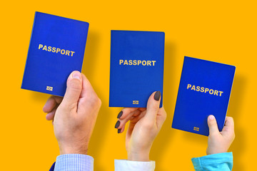 Biometric international passports  for the whole family concept