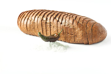 Rye bread with red chili peppers and salt on a white background isolated.