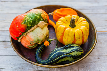 Autumn decorative pumpkins in the vintage bowl. © iMarzi