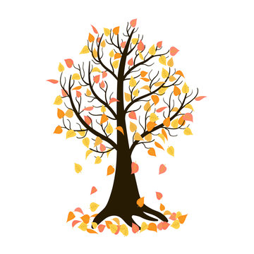 Lonely Autumn Tree Losing Leaves. Isolated Vector