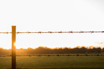 barbed wire fence at sunset