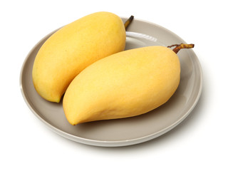 Mango on white background
